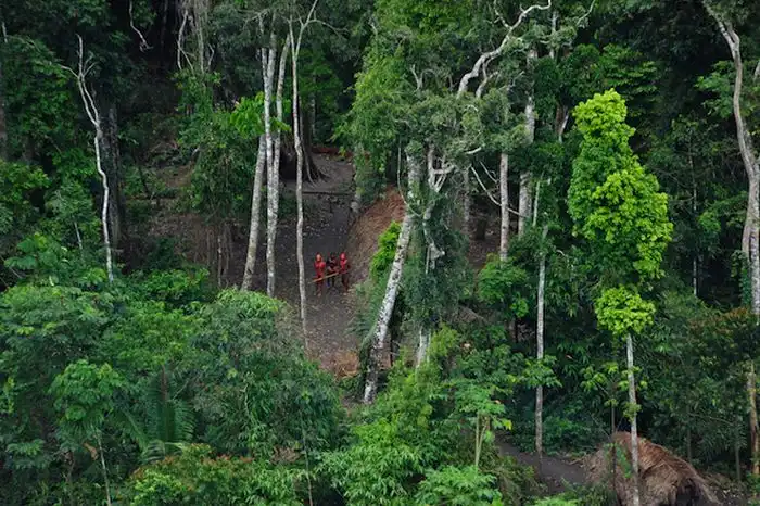 В бразильских джунглях обнаружили неизвестное племя индейцев