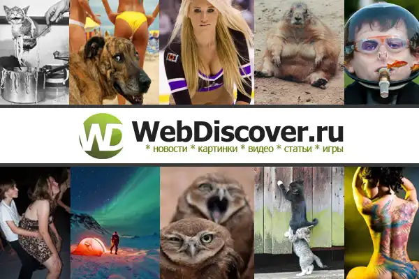 WebDiscover.ru