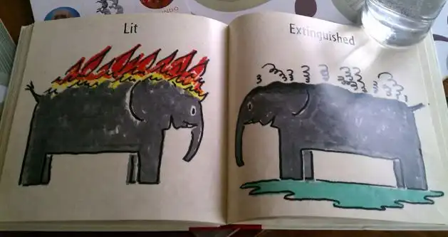 Хорошая детская книга про слона