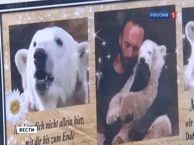 Берлин прощается с любимым медведем Кнутом