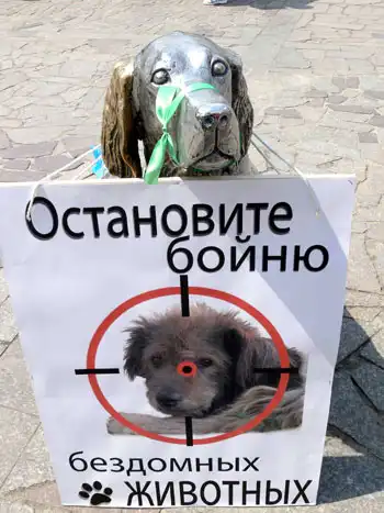 Третья Всероссийская акция в защиту животных «Россия без жестокости» пройдет с 16 по 23 апреля 2011 года