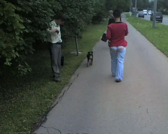 Новинка сезона