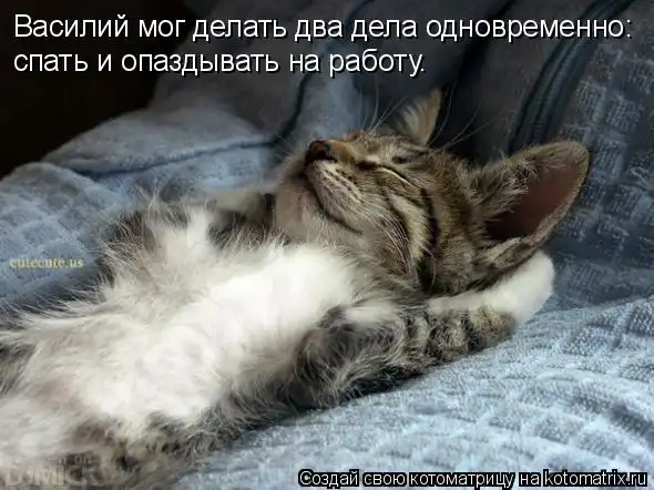 Котоматрицы