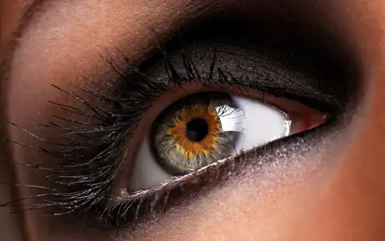 В наших глазах есть «слепое пятно» – проверьте сами
