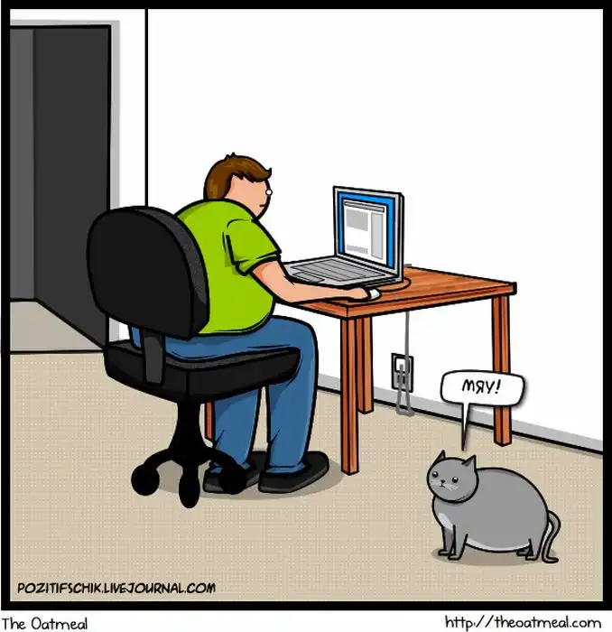 Кот vs. Интернет