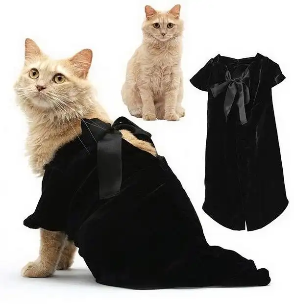 Модная одежда для котов