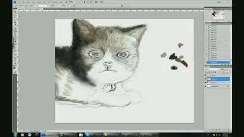 Ускоренное рисование кошки