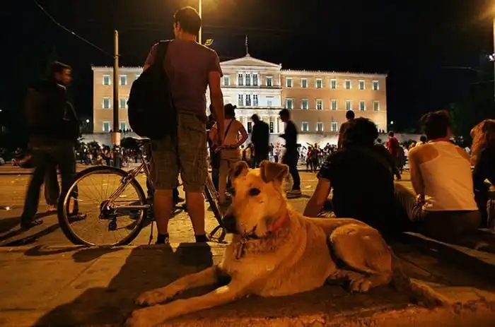 Анархия в Греции: оппозиционеров вдохновляет собака Сосиска
