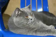 Солянка приколов, часть 1