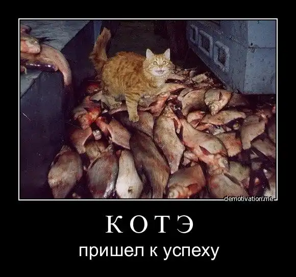 Подборка демов от Джима