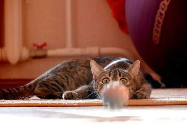 Позитивная фотоподборка