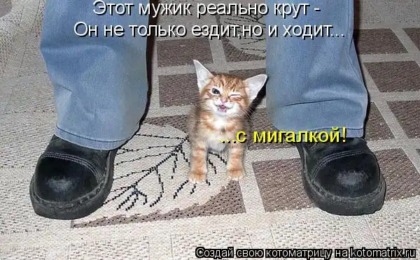 КотЭматрикс-Не любишь котЭ ЛЕСОМ!!!