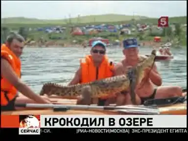 В красноярском озере поймали двухметрового крокодила