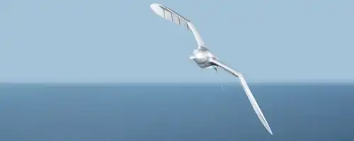 Уникальный робот-птица SmartBird