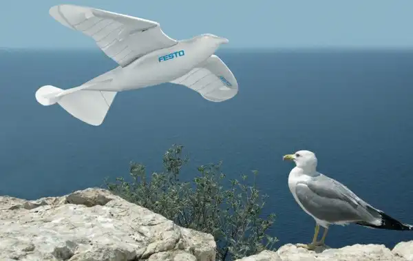 Уникальный робот-птица SmartBird