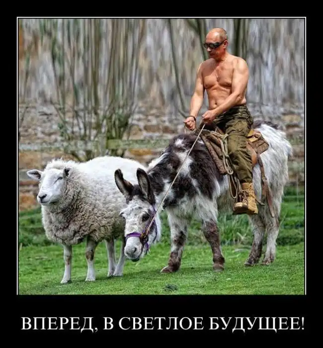 Демотиваторы