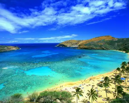 20 фактов о Гавайах