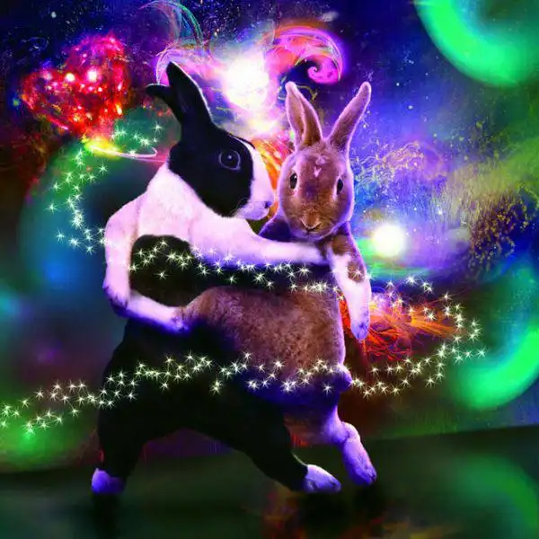 Календарь "Танцующие кролики"