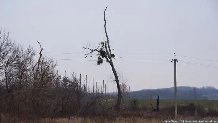 Покинутая станция изучения ионосферы