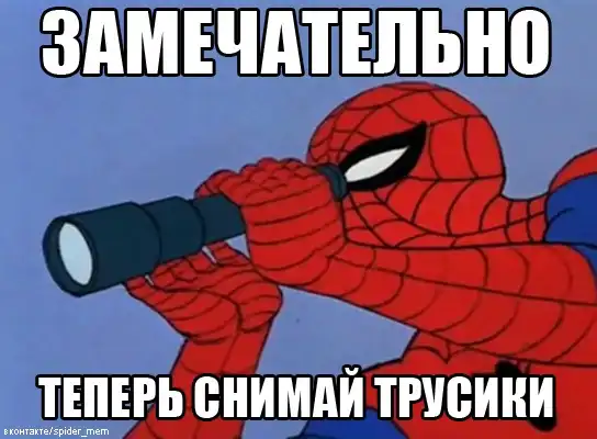 Spider-Mem