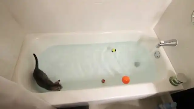 Кошак в ванне
