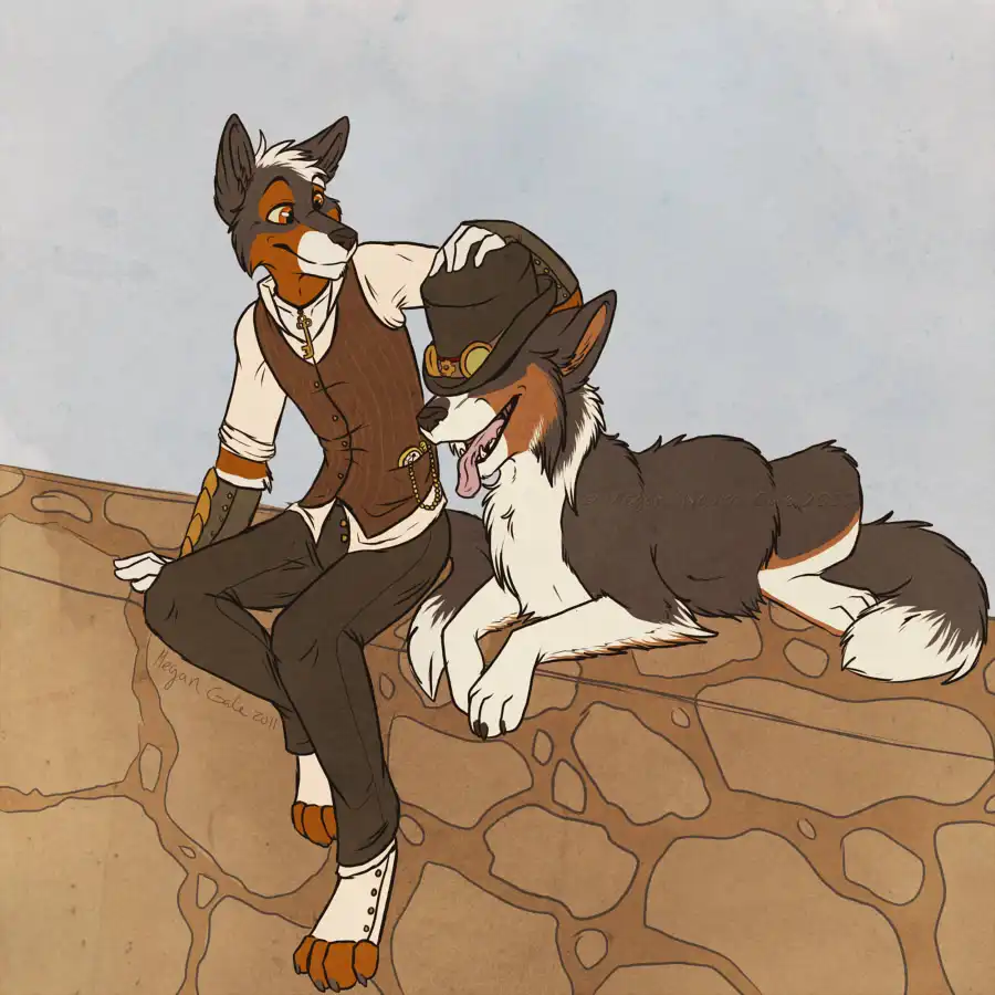 фурри попки