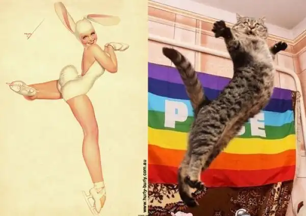 Коты позируют в стиле девушек с пинап-плакатов