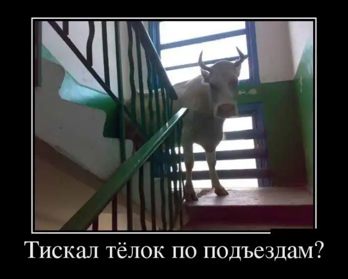 Картинки в черной рамке