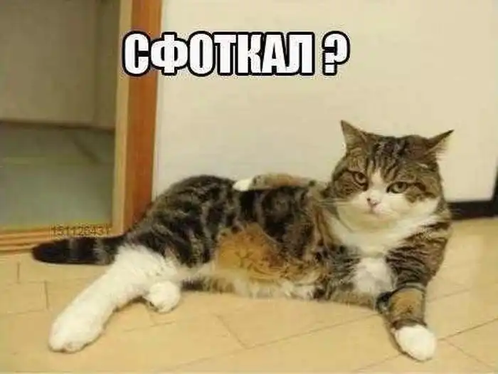 Прикольные картинки абавсём (13.11.12)