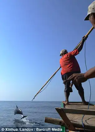 Взрослая рыбалка