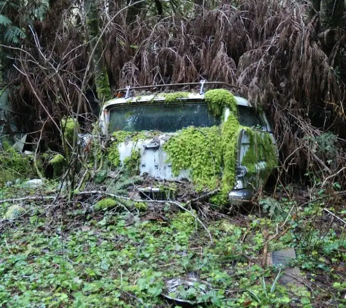 Таинственное кладбище заброшенных автомобилей в лесу