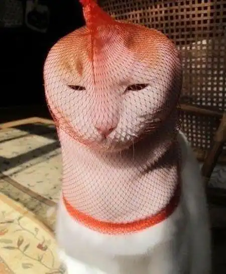 Прикольные картинки абавсём (28.11.12)