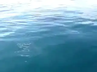 Кит играет с крохотной лодке в открытом море