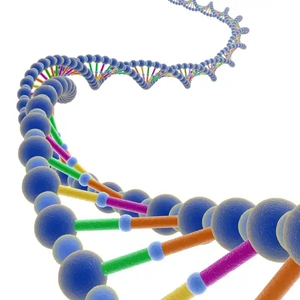 Как на самом деле выглядит ДНК... (мини пост)