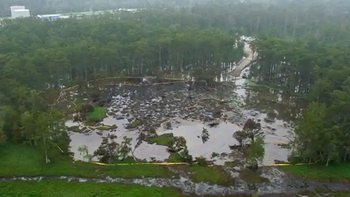 Необычное природное бедствие в штате Луизиана