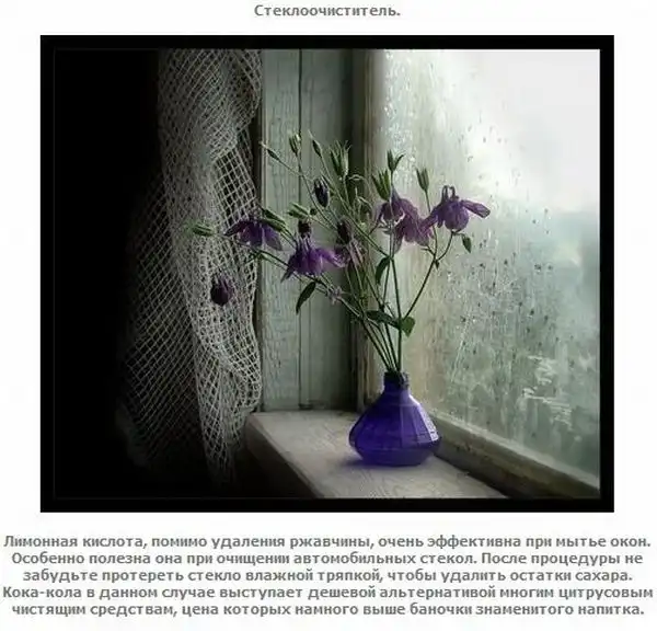 Coca-Cola - незаменимый напиток