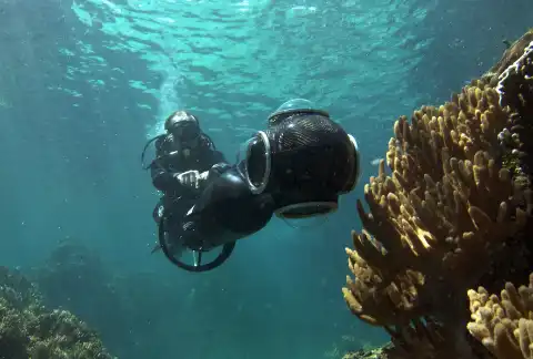 Ученые и Google начали панорамную съемку Кораллового моря
