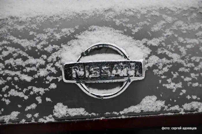 Автомобильные знаки под снегом