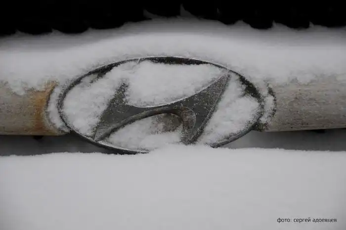 Автомобильные знаки под снегом