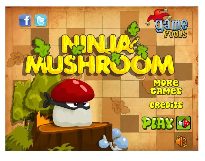 Ninja Mushroom