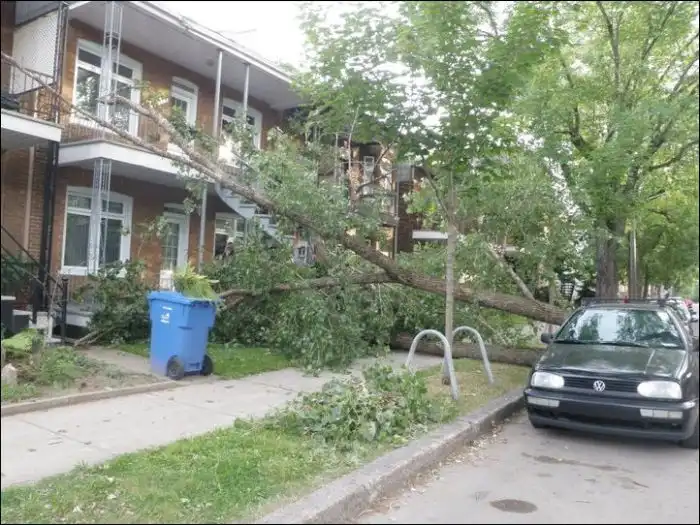 Счастливчик