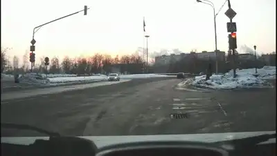 Крутой песик переходит через дорогу