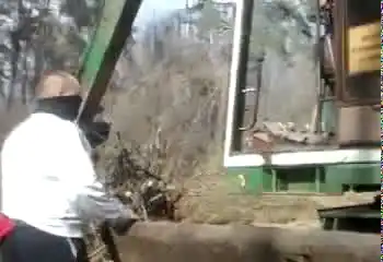 Местные жители отомстили рабочим за незаконную вырубку леса