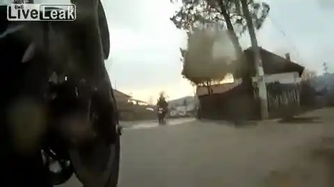 Мотоциклист задавил собаку