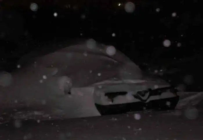 Подснежники в Норильске