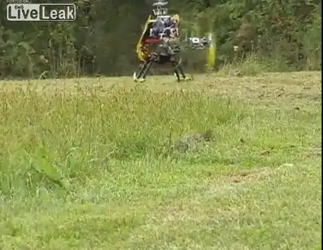 Радиоуправляемый вертолет убивает насекомых