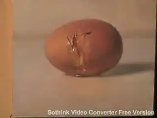 Как разбить нарисованное яйцо