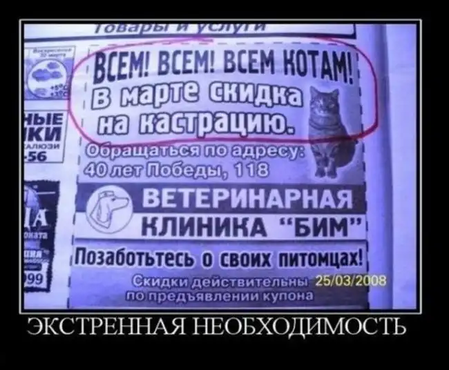 Картинки в черной рамке