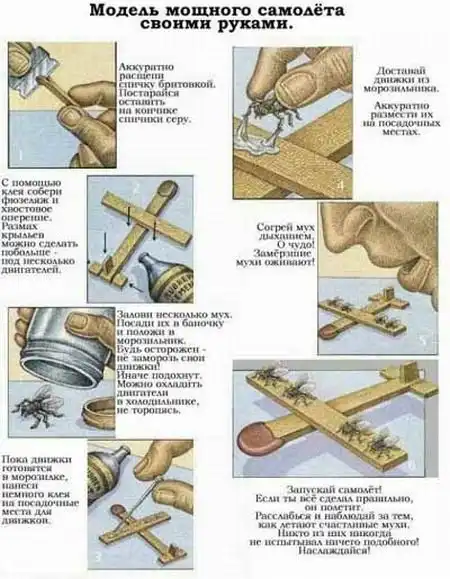 Провал. Мухи отказались