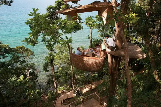 Ресторан на деревьях в Тайланде (7 фото)